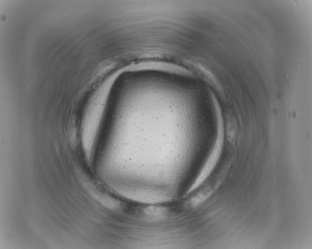 X0000070400261200606302018