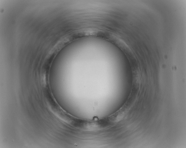 X0000070400262200606302018