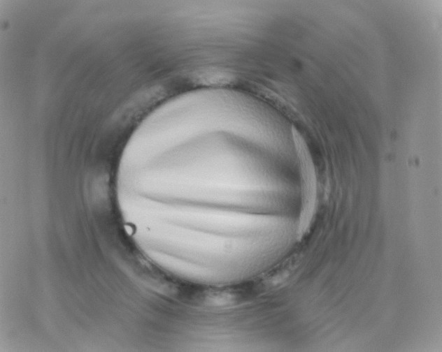 X0000070400263200606302018