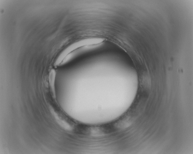 X0000070400264200606302018