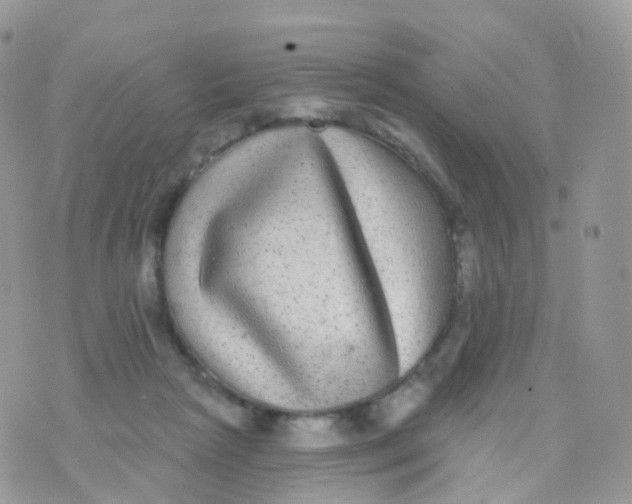 X0000070400265200606302019