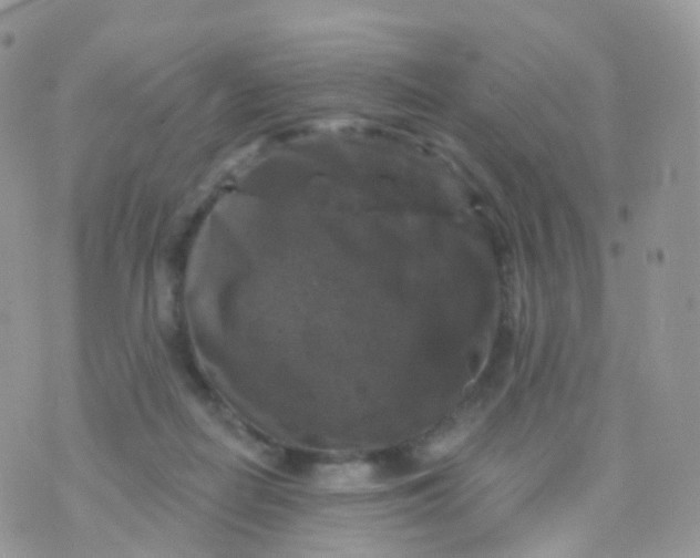 X0000070400266200606302019