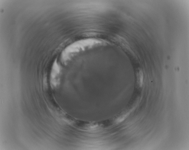 X0000070400267200606302019