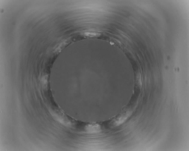 X0000070400271200606302019