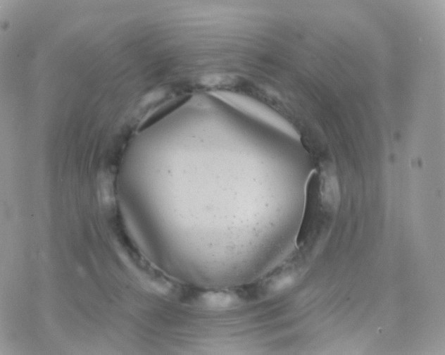 X0000070400272200606302019