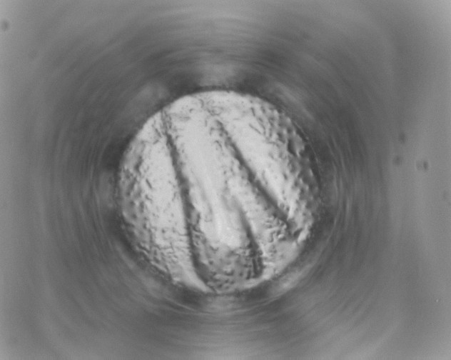 X0000070400273200606302019