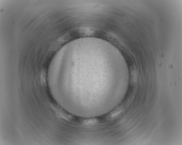 X0000070400274200606302019