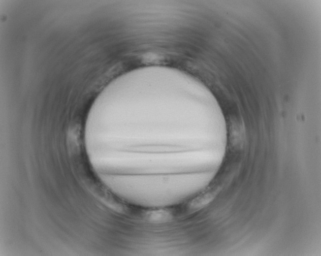 X0000070400275200606302019