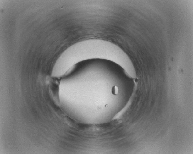 X0000070400276200606302019