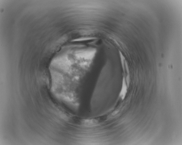 X0000070400277200606302019