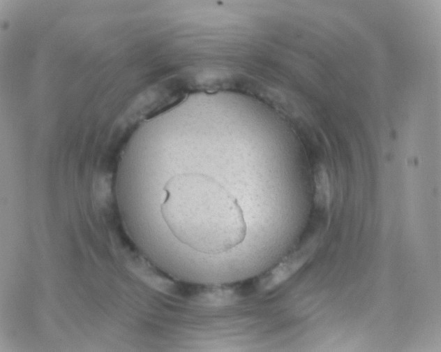 X0000070400278200606302019