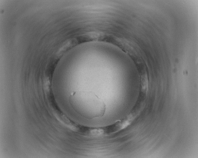 X0000070400279200606302019