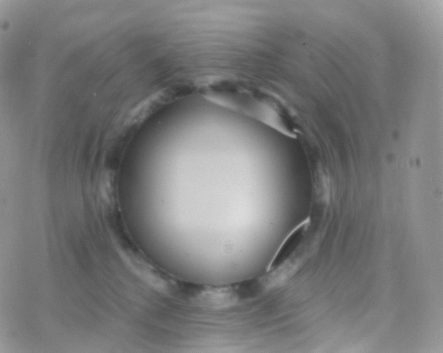 X0000070400280200606302019