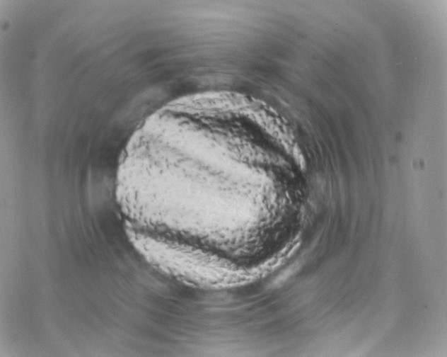 X0000070400281200606302019