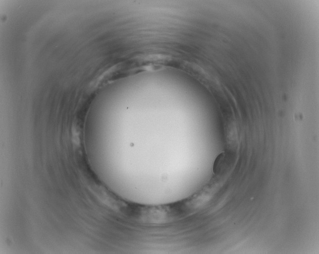 X0000070400282200606302019