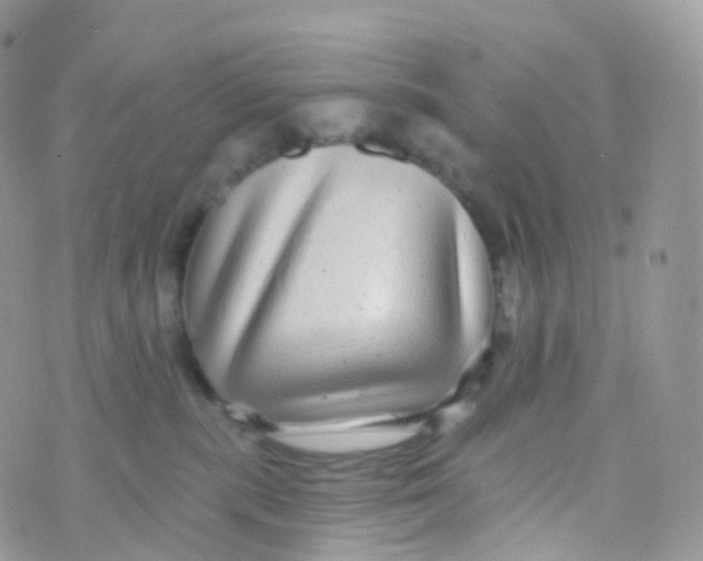 X0000070400283200606302019