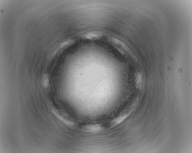 X0000070400284200606302019