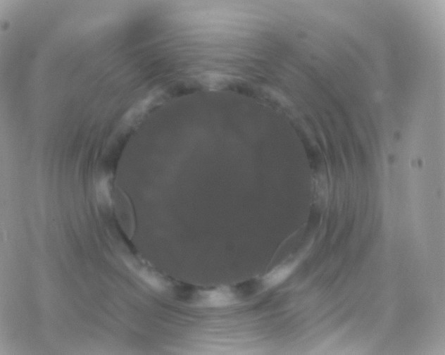 X0000070400286200606302019