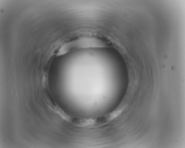 X0000070400288200606302019