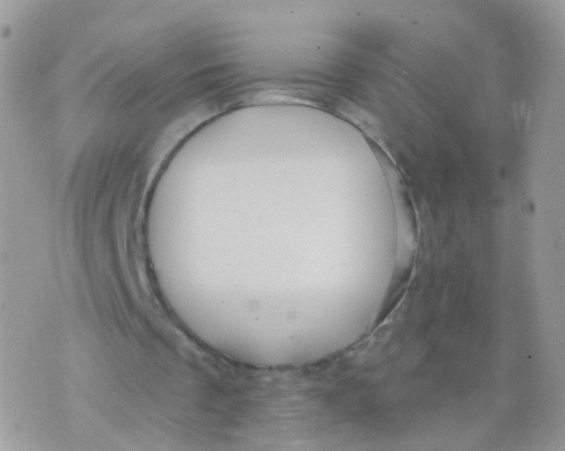 X0000070400289200606302018