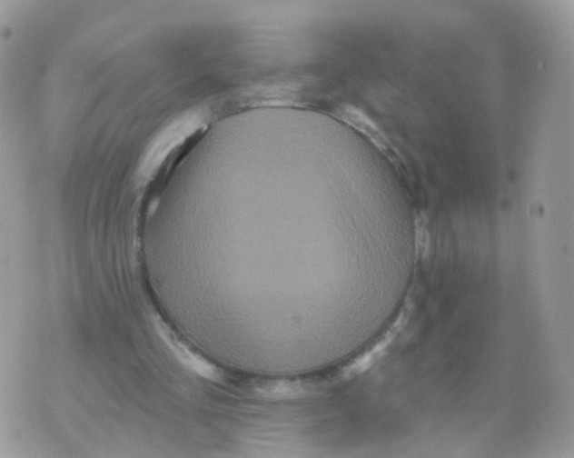 X0000070400293200606302018