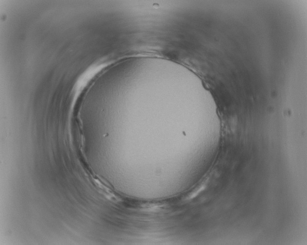 X0000070400294200606302018