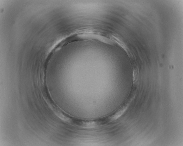 X0000070400301200606302018