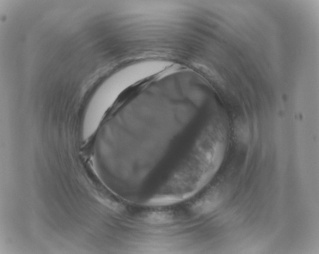 X0000070400303200606302018