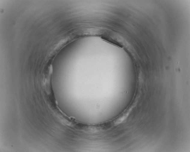 X0000070400305200606302018