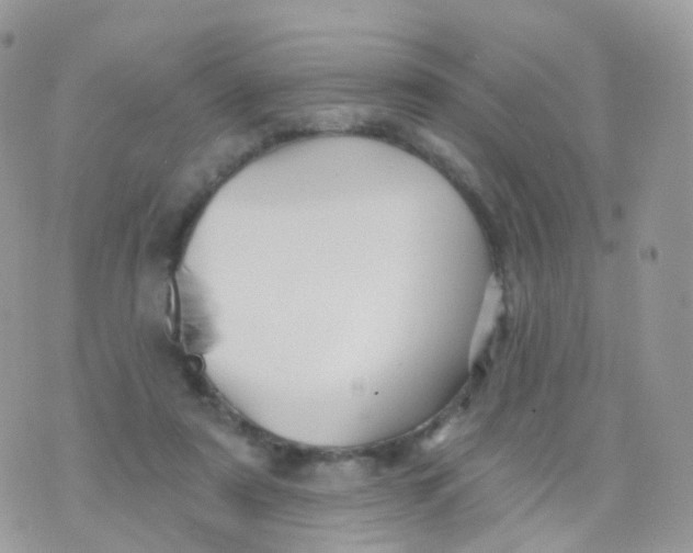 X0000070400307200606302018