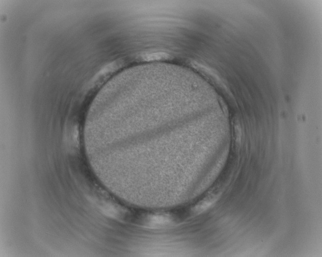 X0000070400308200606302018