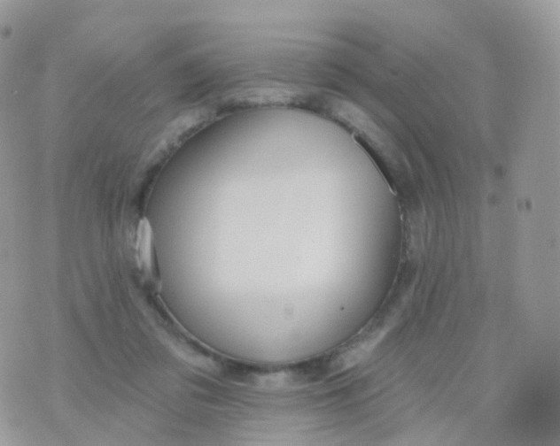 X0000070400309200606302018