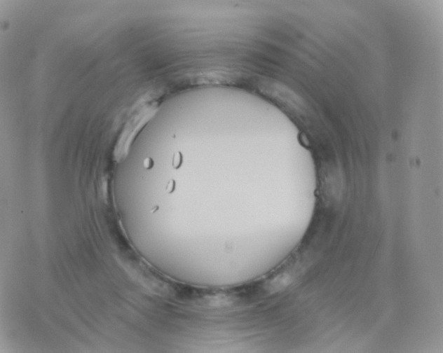 X0000070400310200606302018