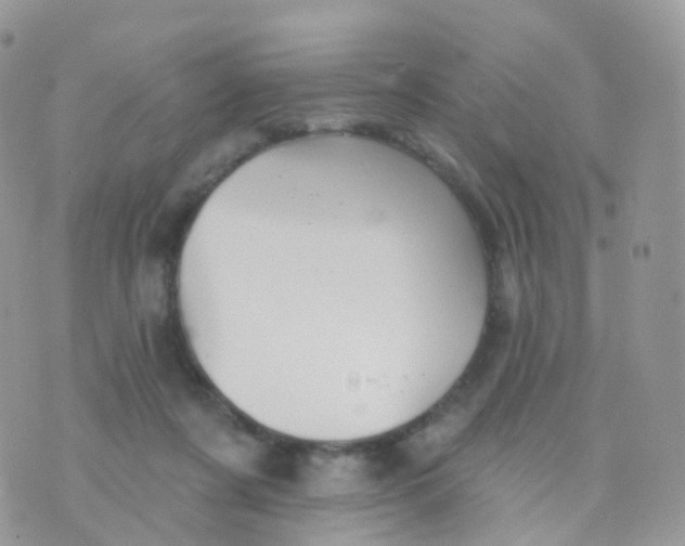 X0000070400311200606302018