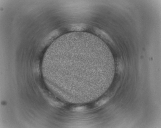 X0000070400312200606302018