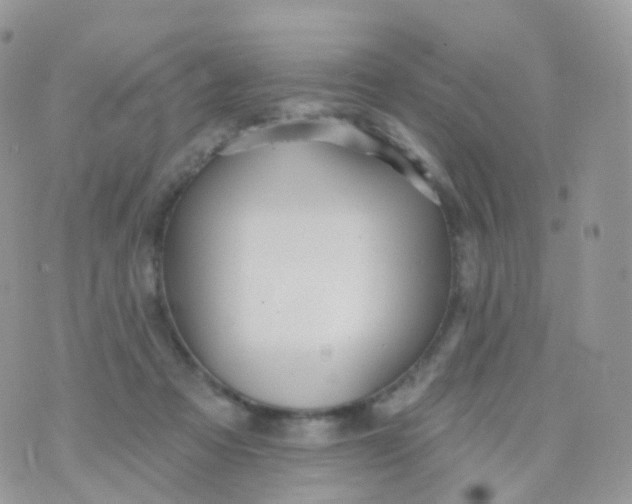 X0000070400313200606302018