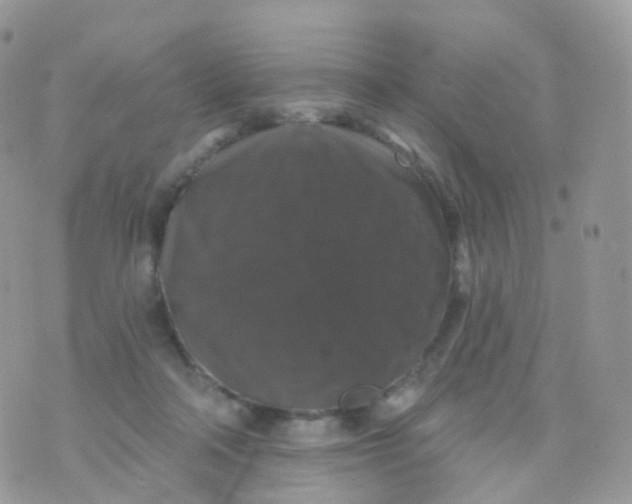 X0000070400314200606302018