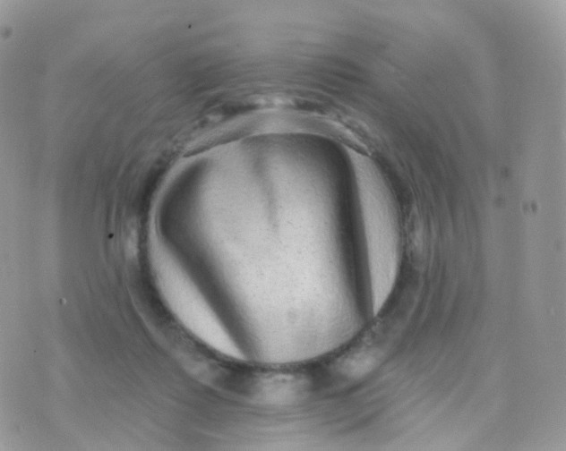 X0000070400315200606302018