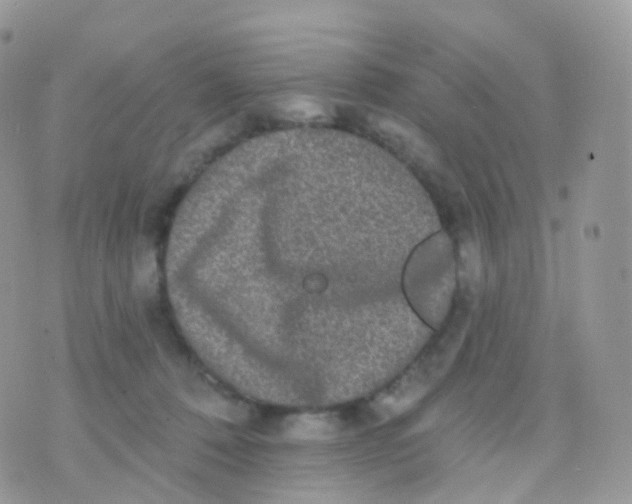 X0000070400320200606302018