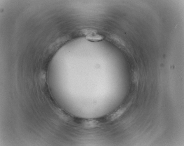 X0000070400321200606302018