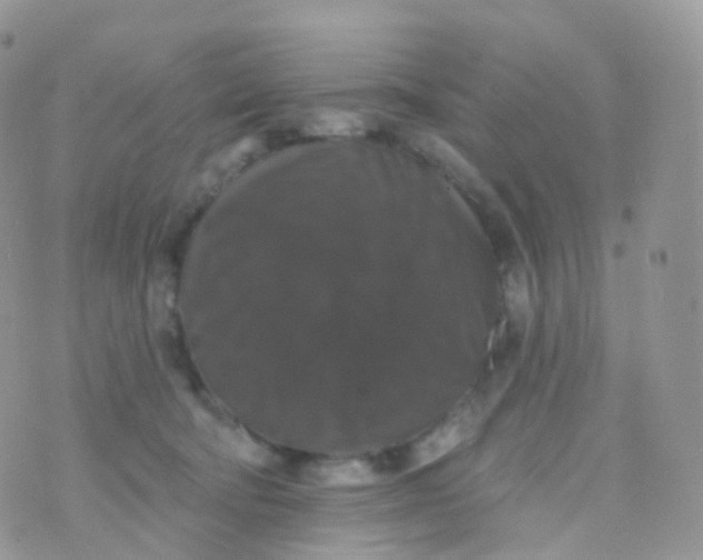 X0000070400322200606302018