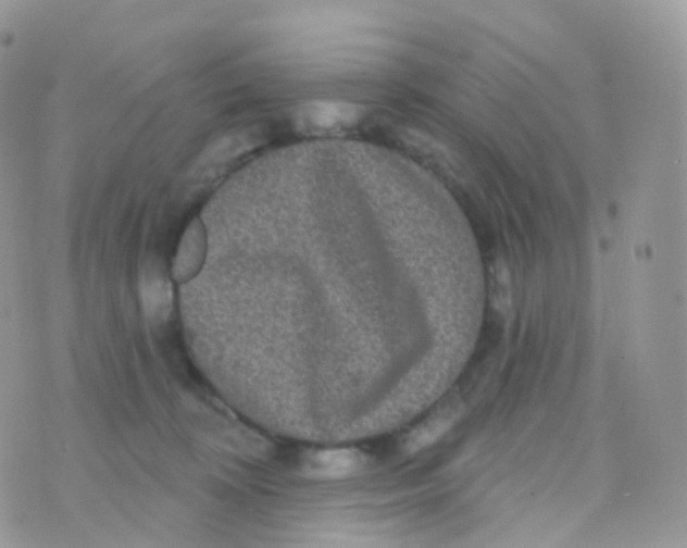 X0000070400324200606302018