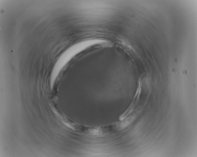 X0000070400325200606302017