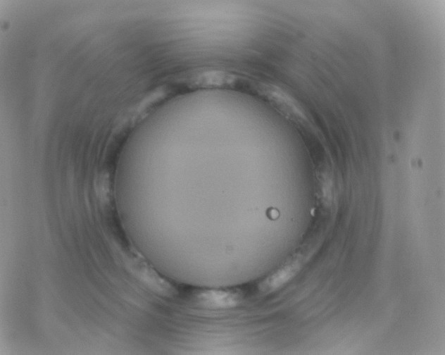 X0000070400326200606302017