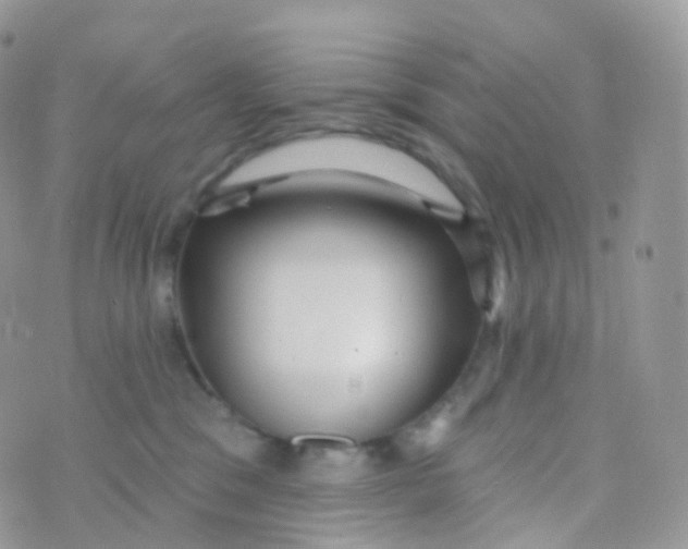 X0000070400329200606302017