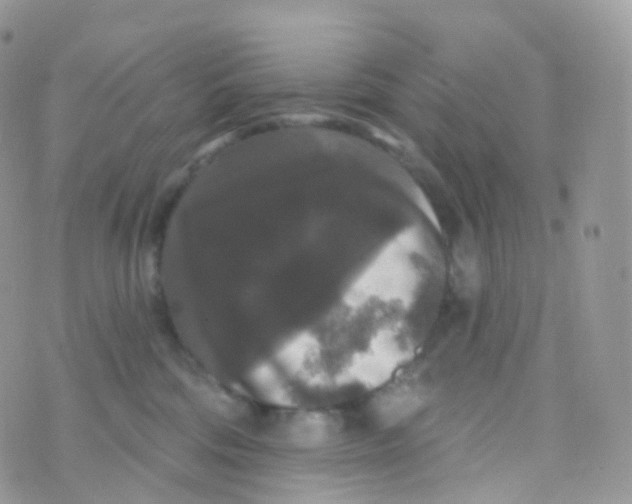 X0000070400330200606302017