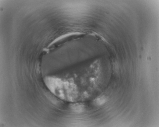 X0000070400331200606302017