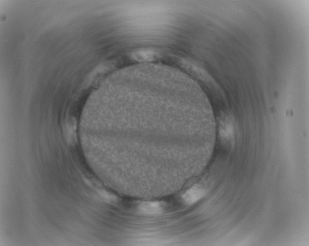 X0000070400332200606302017