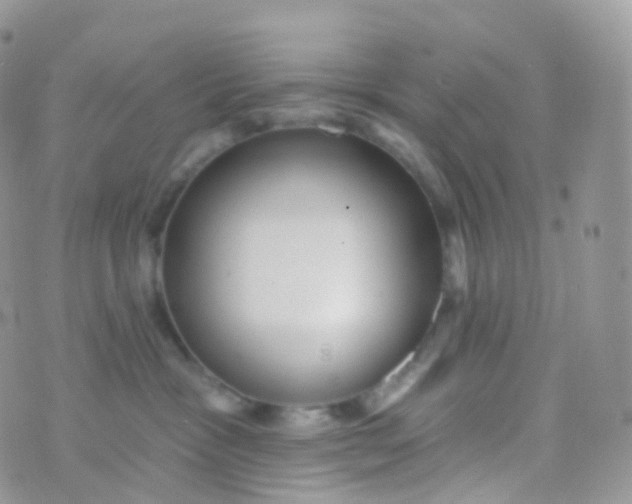 X0000070400333200606302017