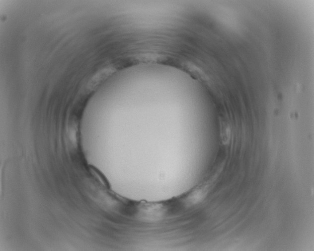 X0000070400334200606302017